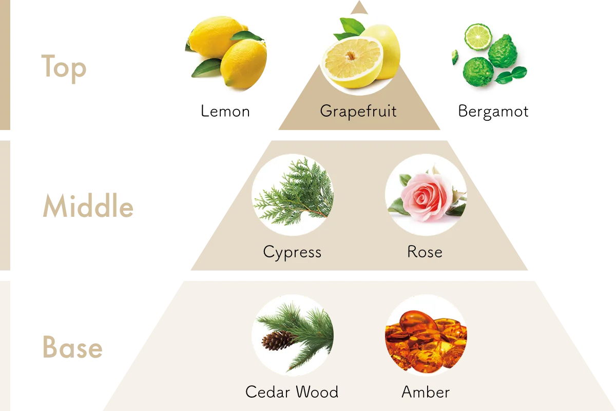 アロマのグラフ